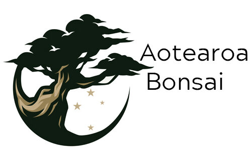 Aotearoa Bonsai