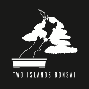 Two Islands Bonsai logo